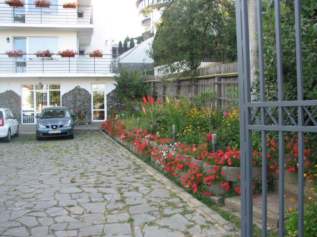 Pensiunea Warthe Bed & Breakfast Brasov Exterior photo